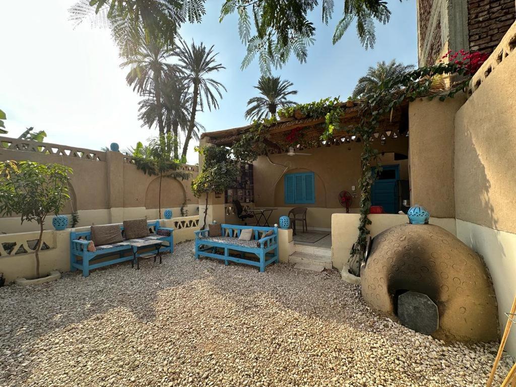 לוקסור Villa Rebecca Professor'S Paradise מראה חיצוני תמונה