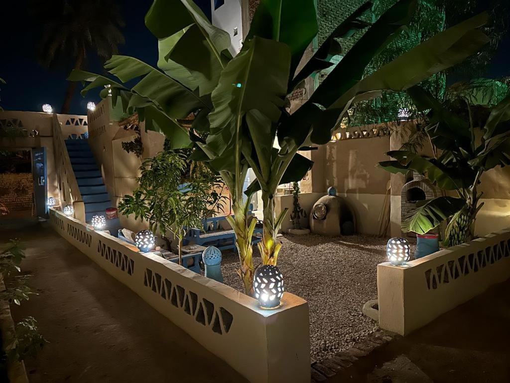לוקסור Villa Rebecca Professor'S Paradise מראה חיצוני תמונה
