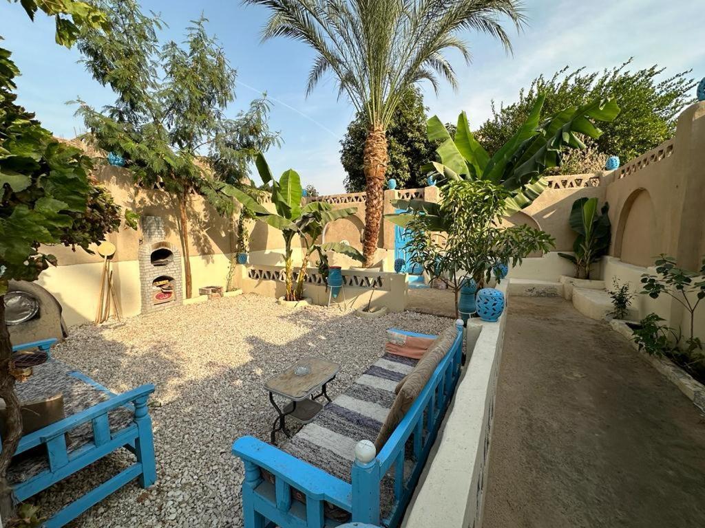 לוקסור Villa Rebecca Professor'S Paradise מראה חיצוני תמונה
